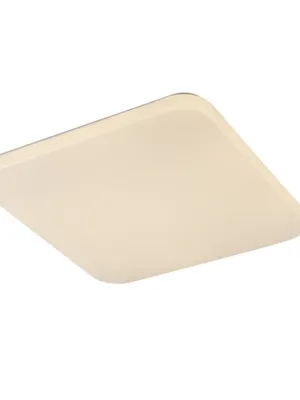 6241.jpg TERRA 2     Plafones de techo