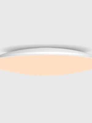 7978.jpg TYPHON 9   Plafones de techo