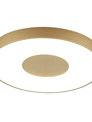 8036.jpg TITANIO 8    Plafones de techo