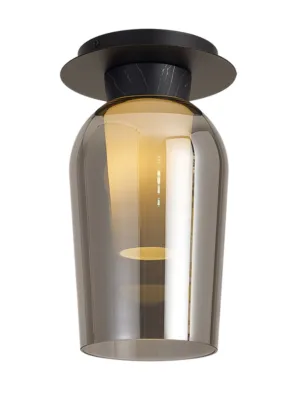 8287.jpg SPECTRA 4   Plafones de techo