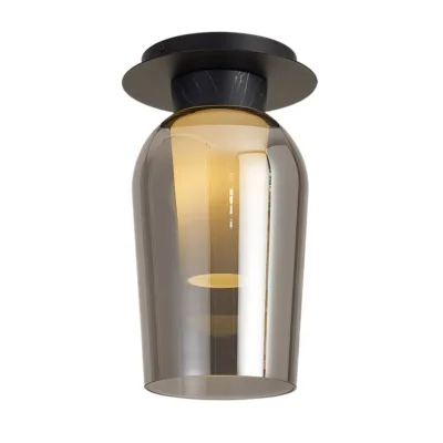 8287.jpg SPECTRA 4   Plafones de techo